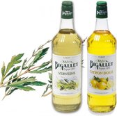 Bigallet sodamaker limonadesiroop voordeelpakket Verveine & Citron Doux - 2 x 1000ml