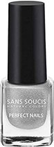 Sans sourcis nagellak 170 cool silver 5ml