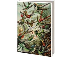 Kaartenmapje met env, groot: Ernst Haeckel, Teylers Museum