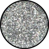 Eulenspiegel Zilver - Juweel (grof) Holografisch Strooi Glitter 6 gram