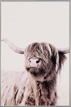 JUNIQE - Poster met kunststof lijst Highland Cattle Frida Crème -40x60