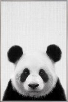 JUNIQE - Poster met kunststof lijst Panda zwart-wit foto -60x90 /Grijs