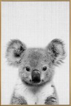 JUNIQE - Poster met kunststof lijst Koala zwart-wit foto -60x90 /Grijs