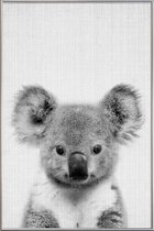 JUNIQE - Poster met kunststof lijst Koala zwart-wit foto -60x90 /Grijs