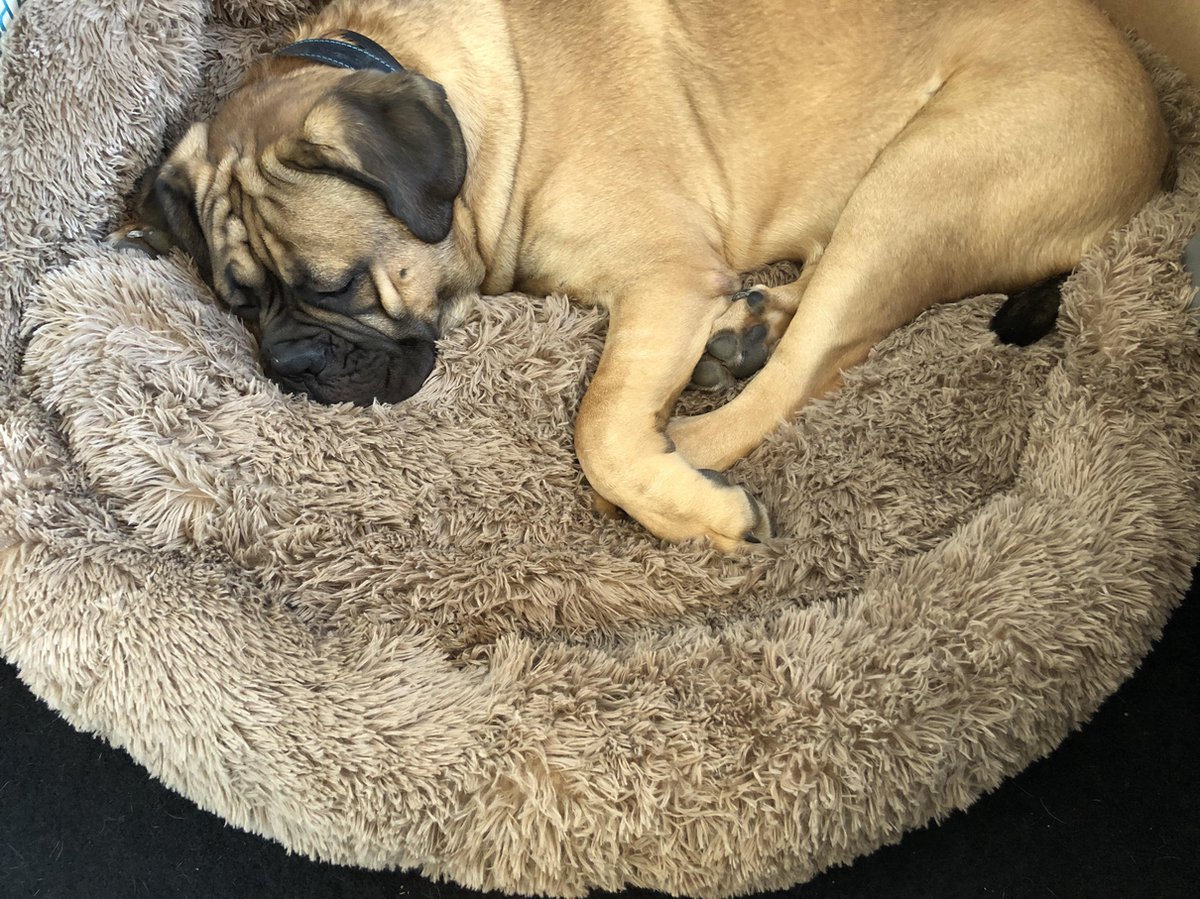 HONDEN RELAX KUSSEN - Superzacht fluffy rond kussen 120 cm XXL - Taupe kleur
