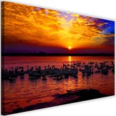 Schilderij Zwanenmeer, 2 maten, multi-gekleurd, Premium print