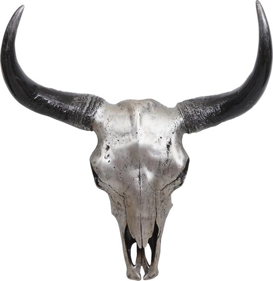 crâne - taureau - 42 cm - polyrésine - lunghorn