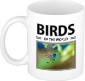Kolibries mok met dieren foto birds of the world