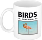 Flamingos mok met dieren foto birds of the world