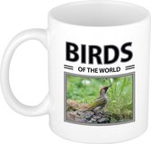 Spechten mok met dieren foto birds of the world