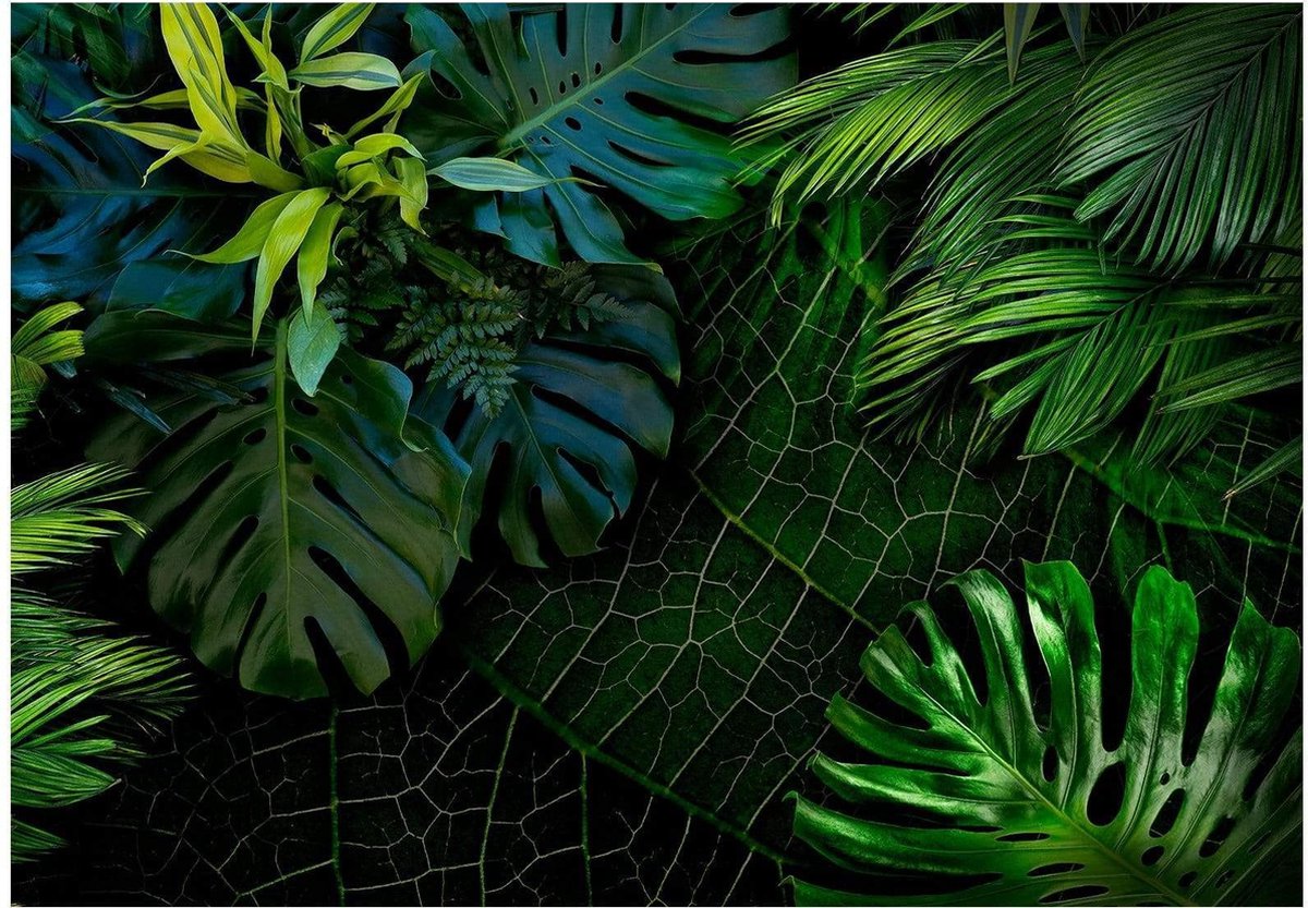 Fotobehang - Dark Jungle 400x280cm - Vliesbehang