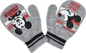 Wanten / handschoenen Disney Baby Mickey Mouse