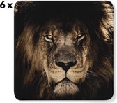 Onderzetter met Afrikaanse Leeuw - 6 Stuks - 9 x 9 cm | Onderzetters 6 stuks | Onderzetters Met Foto | Design Onderzetters | Onderzetters voor glazen