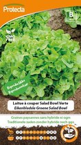 Protecta Groente zaden: Eikenbladsla Groene Salad Bowl