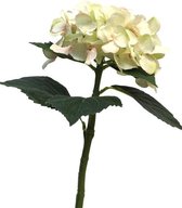 SENSE Hydrangea wit/soft pink 48cm - Hortensia Zijdebloem - Boeket bloem Wit/Roze