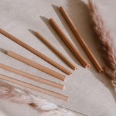 Herbruikbare Bamboe Rietjes | Lengte 15cm | 15 Stuks | Incl Schoonmaak Borstel & Tasje| Plastic Vrij