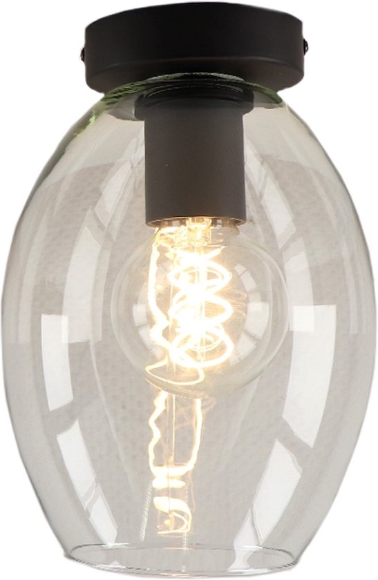 Olucia Giulio - Design Plafondlamp - Glas/Metaal - Transparant;Zwart - Ovaal - 17 cm