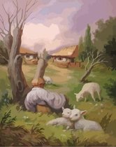 Paint By Numbers - Schilderen op Nummer - Gezichtsbedrog: Man met Snor en Lammetjes in de Wei - 50x40cm - Volwassenen - Stipco