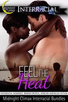 Feel The Heat (Interracial Romance, BWWM Erotica, African American Fiction)