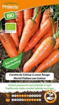 Protecta Groente zaden: Wortel Flakkee van Colmar Biologisch