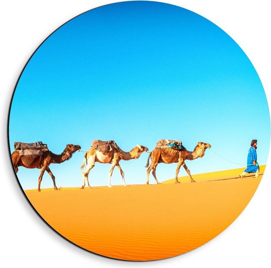 Dibond Wandcirkel - Kamelen in de Woestijn met Leider - 40x40cm Foto op Aluminium Wandcirkel (met ophangsysteem)