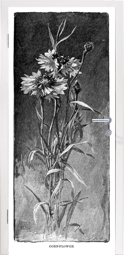 Deursticker Korenbloem illustratie - Een zwart-wit illustratie van een korenbloemen - 80x205 cm - zelfklevende deurposter - bubbelvrij en herpositioneerbare deursticker