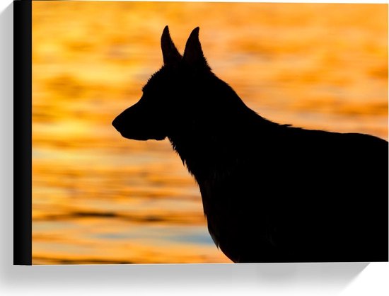 Canvas  - Hond aan het Water tijdens Zonsondergang  - 40x30cm Foto op Canvas Schilderij (Wanddecoratie op Canvas)