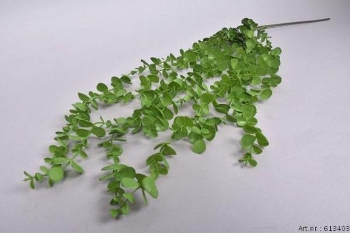 ZoeZo Design Eucalyptus - tak - groen - kunstplant - hangplant - kunststof - hangende tak - totale lengte 100 cm