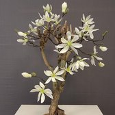 Seta Fiori - Magnolia - kunst boom - kunstplant – wit - 75cm -