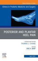 The Clinics: Orthopedics Volume 38-2 - Posterior and plantar heel pain, An Issue of Clinics in Podiatric Medicine and Surgery, E-Book