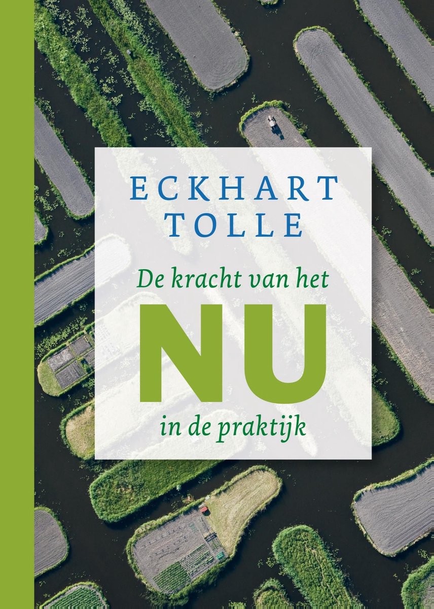 De kracht van het nu in de praktijk, Eckhart Tolle, 9789020213638