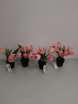 Vier leuke kunstplantjes met bloemen
