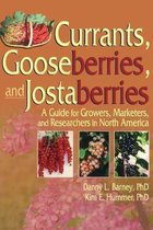 Currants, Gooseberries, and Jostaberries