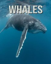 Whales