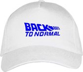 Witte Pet – Snapback met Blauw “ Back to Normal “ logo