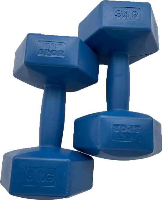 eer in de buurt Eerlijk 2x Dumbell - 8 kg - Dumbell Set - Blauw - Gewichten - Dumbbells - Dumbells  Set | bol.com