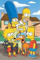 Diamond Painting The Simpsons - 20x15cm - Complete Set - Inclusief Tools