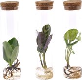Mix in Tube - 20 cm