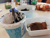 Lespakket Oesterzwammen kweken op koffiedik - Circulair - Duurzaam - Onderwijs - Zelf aan de slag in de klas