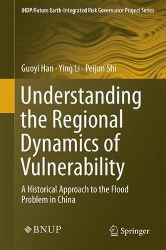 Boek cover Understanding the Regional Dynamics of Vulnerability van Guoyi Han (Hardcover)