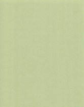 20 Linnen Kaarten papier - A4 - Avocado Green - Cardstock - 29,7x21cm - 240 grams - Karton