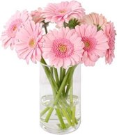 PostBloemen - Roze Gerbera's (Germini size) - Verse sijnbloemen