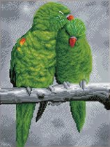DQ8.011 Diamond Dotz® - Hobby Pakket - Diamond painting volwassenen - Groene verliefde papegaaien 41 x 31cm - Vierkante steentjes - Diamond painting pakket volledig