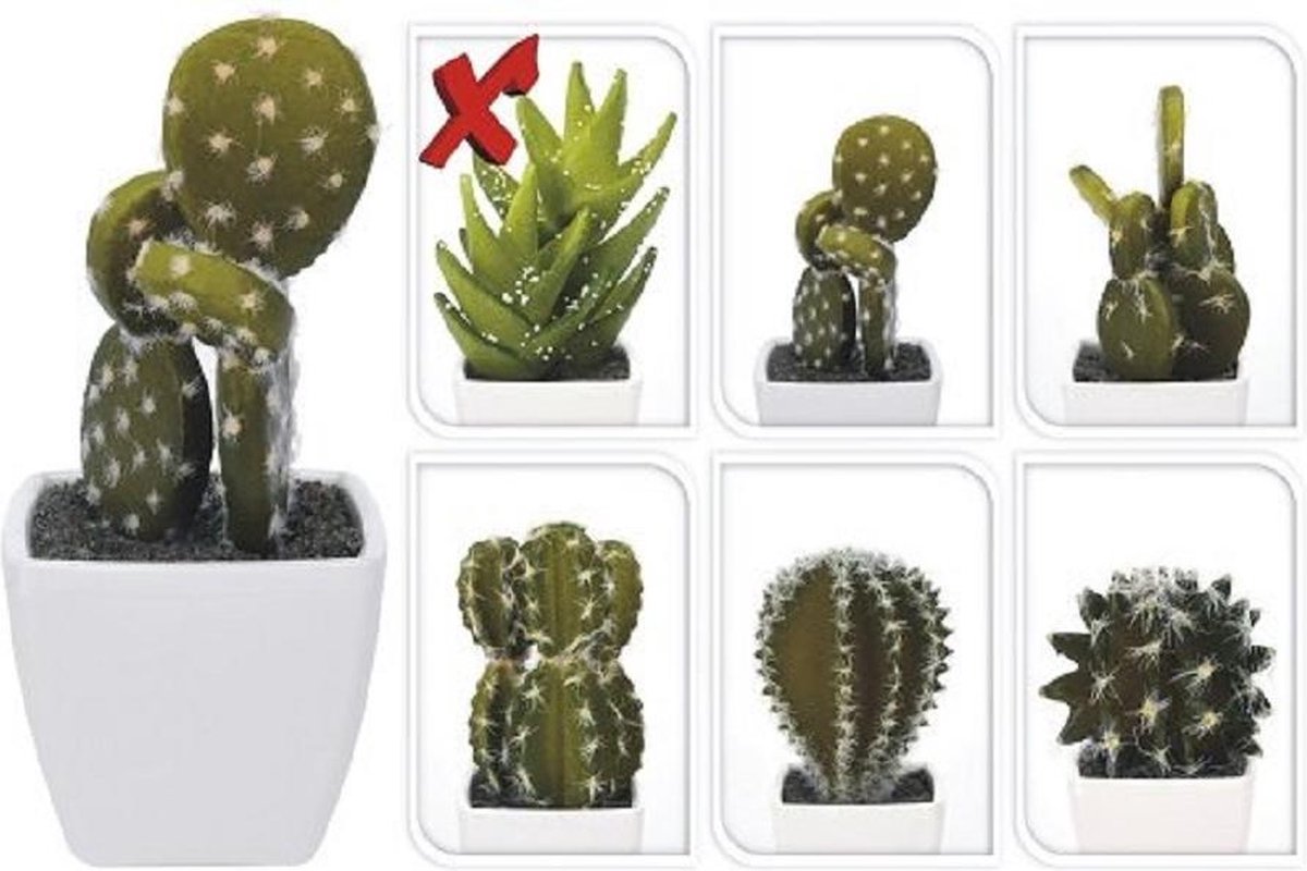 Trots krater Mentor Kleine kunst cactus in bloempotje / kunstplantje model 1 | bol.com