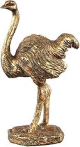 PTMD - Animal goud - Struisvogel
