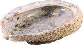 Stones & Bones® Abalone schelp klein