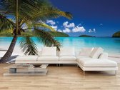 Professioneel Fotobehang Tropisch strand met palmboom - blauw - Sticky Decoration - fotobehang - decoratie - woonaccessoires - inclusief gratis hobbymesje - 520 cm breed x 350 cm hoog - in 7 