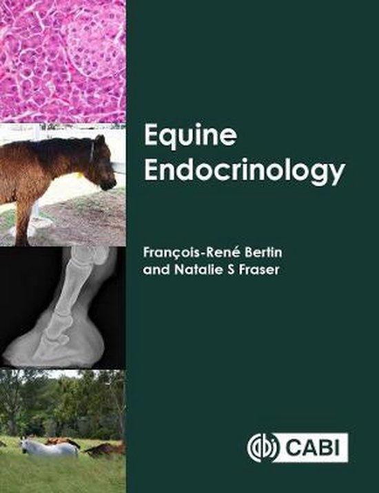 Equine Endocrinology - cover