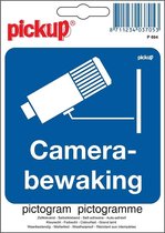 Pickup Pictogram Camerabewaking - 100 x 100 mm
