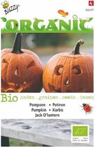 Buzzy® Organic Pompoen Jack O'Lantern (BIO)